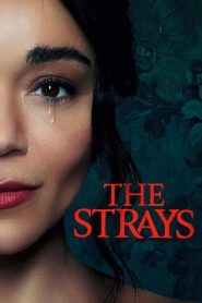 โปสเตอร์หนัง The Strays (2023) คนหลงทาง