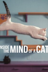 โปสเตอร์หนัง Inside the Mind of a Cat (2022)