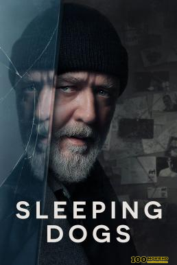 โปสเตอร์หนัง Sleeping Dogs (2024) บรรยายไทยแปล