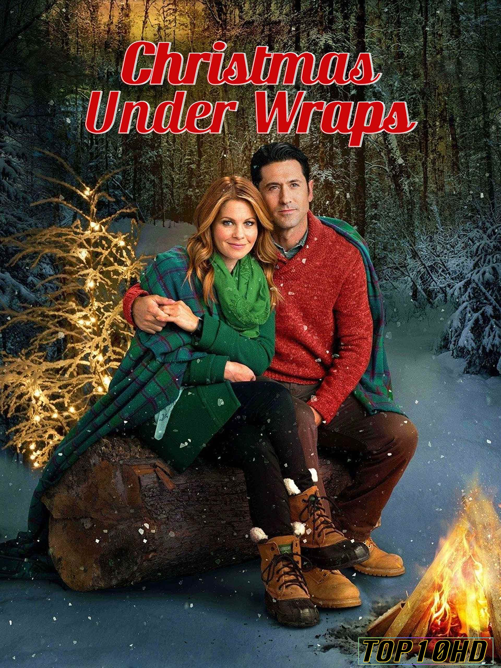 โปสเตอร์หนัง Christmas Under Wraps ห่อรักวันคริสต์มาส (2014) บรรยายไทย